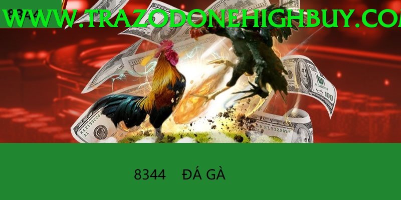 Đá Gà Trực Tiếp - Ưu đãi đặc biệt